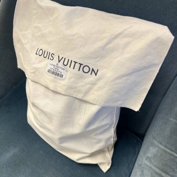 LOUIS VUITTON Masters Collection DaVinci Palm Springs Backpack M43375 - Picture 7 of 11